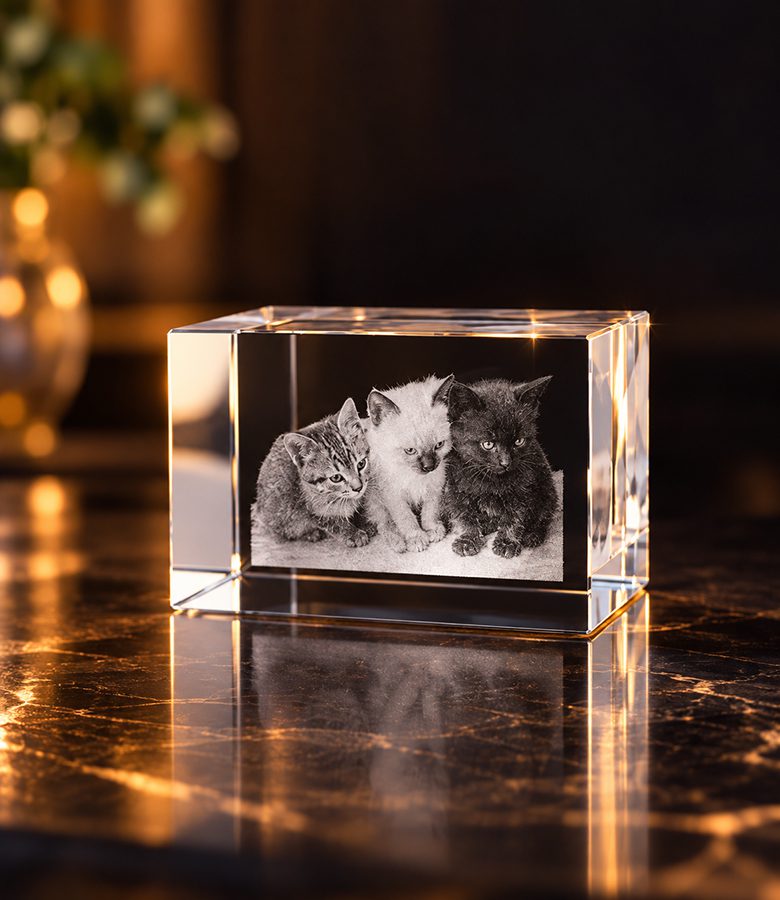 2D foto in glas - rechthoek - 4x3x3cm