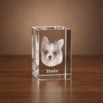 2D foto in glas - rechthoek kristal blok - 4x4x6cm