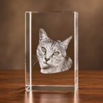 3D foto in glas - rechthoekig blok - huisdier - poes