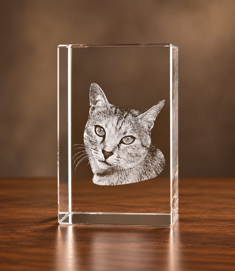 3D foto in glas - rechthoekig blok - huisdier - poes