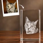3D foto in glas - rechthoek blok - huisdier - poes
