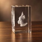 3D foto in glas - rechthoek blok - huisdier - poes - zijaanzicht
