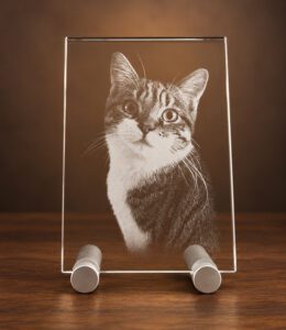 2D foto in glas - Vlakglas klein - 130x90x8mm - Kristal Glas